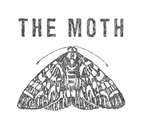 Moth Digital Porch logo